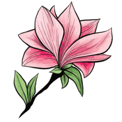 I love Kawaii Designs Avatar