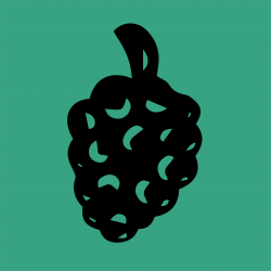 MulberryStore avatar