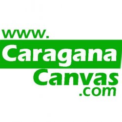 Caragana Canvas avatar