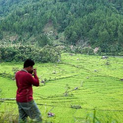sukajalan Avatar