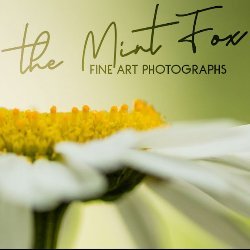 theMintFox avatar