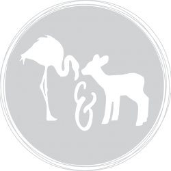 Flamingo and Fawn Avatar