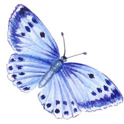 MagiCraft Avatar