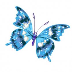 Artist Store  Avatar