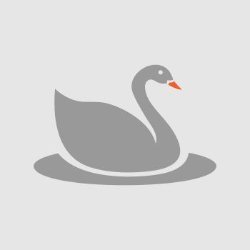 DuckOn Avatar