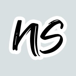 Nice Art Supply Avatar