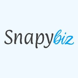 SnapyBiz Avatar
