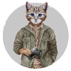 Victoria Novak avatar