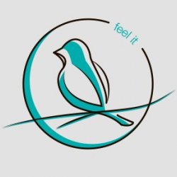 VFeelart avatar
