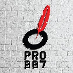 vectorPRO007 Avatar