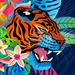 Iraida Bearlala avatar