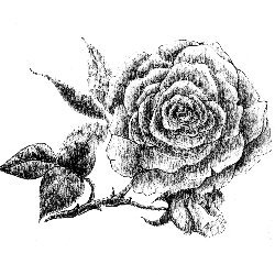 Kseniyart design Avatar