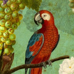  NastiaDesignsPrints Avatar