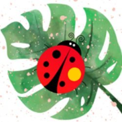 Ladybugzz Avatar