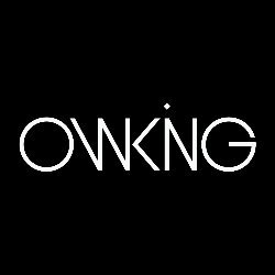 Owl king project Avatar