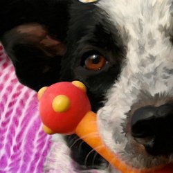 TriPodDog Avatar