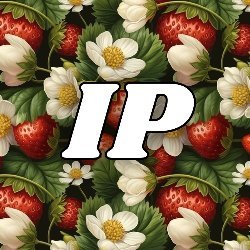 Income Plum Avatar