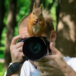 AlexBush Avatar