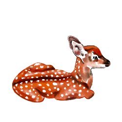 NNclipart avatar