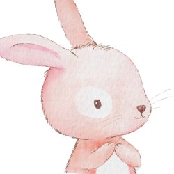 FoxyImage avatar