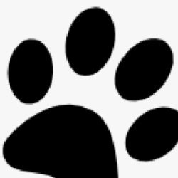 Little Foot Prints avatar