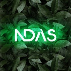 ndasdesign Avatar