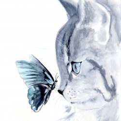 Toshka Avatar