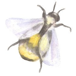 Goodfairyclipart Avatar