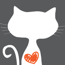curious kitten Avatar
