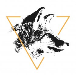 The Gradient Fox Avatar