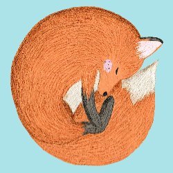 Fox In A Blue Box Avatar