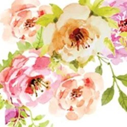 Bellaroma Rose Avatar