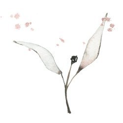 Satika art shop avatar