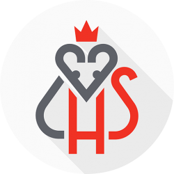 HelenStock avatar