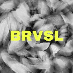 Bervisual Avatar