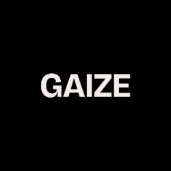 Studio Gaize Avatar