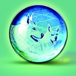 Graphicquest Avatar