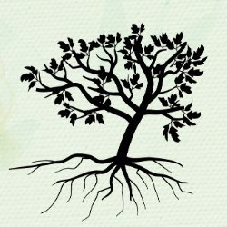 treasuredLasercuts avatar