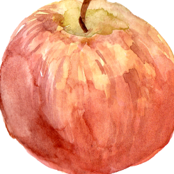 Roselocket Avatar