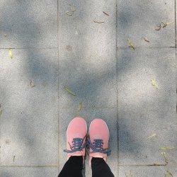 Jennifer Chow avatar