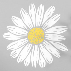 4eka Avatar