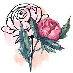 DAnasArt avatar