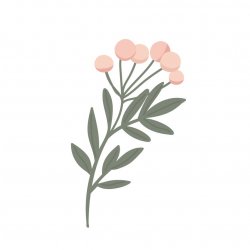 Myillustrationstore Avatar