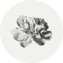 PrettyPeonyDigital Avatar