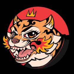HNS Creative Studio avatar