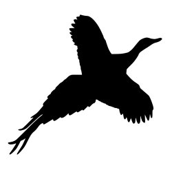 Stubbleduck Designs avatar