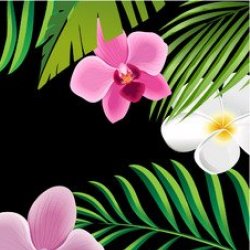 Malina Shop Avatar