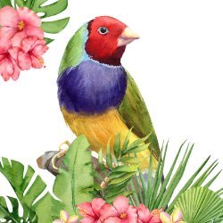 ColorHugsArt Avatar