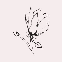 Azka Creative Avatar