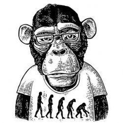 MoreVector Avatar